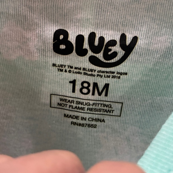 Bluey Kids Pajama Set - Mint Green 3 sets available - Picture 3 of 4